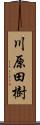 川原田樹 Scroll