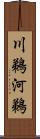 川鵜 Scroll