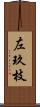 左玖枝 Scroll