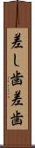 差し歯 Scroll
