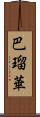 巴瑠華 Scroll
