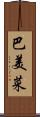 巴美菜 Scroll
