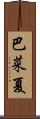 巴菜夏 Scroll
