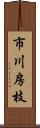 市川房枝 Scroll