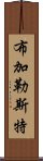 布加勒斯特 Scroll