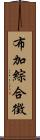 布加綜合徵 Scroll