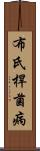 布氏桿菌病 Scroll