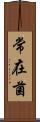 常在菌 Scroll