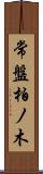 常盤柏ノ木 Scroll
