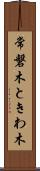 常磐木 Scroll