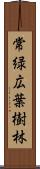 常緑広葉樹林 Scroll