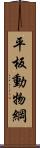 平板動物綱 Scroll