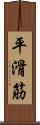 平滑筋 Scroll