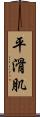 平滑肌 Scroll