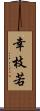 幸枝若 Scroll