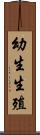 幼生生殖 Scroll