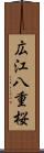 広江八重桜 Scroll