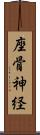 座骨神経 Scroll