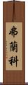 Franko Scroll