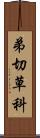 弟切草科 Scroll