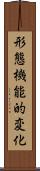 形態機能的変化 Scroll