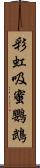 彩虹吸蜜鸚鵡 Scroll