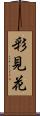 彩見花 Scroll