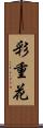 彩重花 Scroll