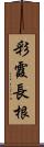 彩霞長根 Scroll