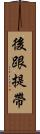 後跟提帶 Scroll