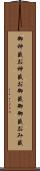 御神籤 Scroll