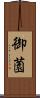 御薗 Scroll