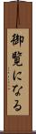 御覧になる Scroll