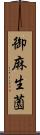 御麻生薗 Scroll