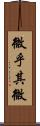 微乎其微 Scroll