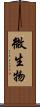 微生物 Scroll