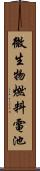 微生物燃料電池 Scroll