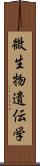 微生物遺伝学 Scroll