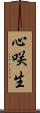 心咲生 Scroll