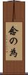 念の為 Scroll