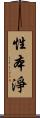 性本淨 Scroll
