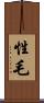 性毛 Scroll