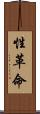 性革命 Scroll