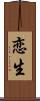 恋生 Scroll