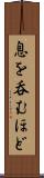 息を呑むほど Scroll