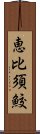 恵比須鮫 Scroll