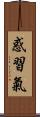 惑習氣 Scroll