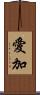 愛加 Scroll