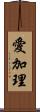 愛加理 Scroll