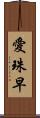 愛珠早 Scroll